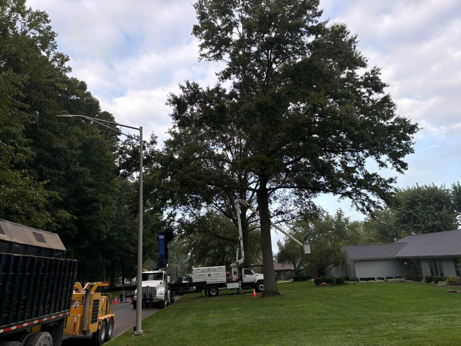 Tree Pros crew and equipment trimming a large oak in Jasper, Indiana