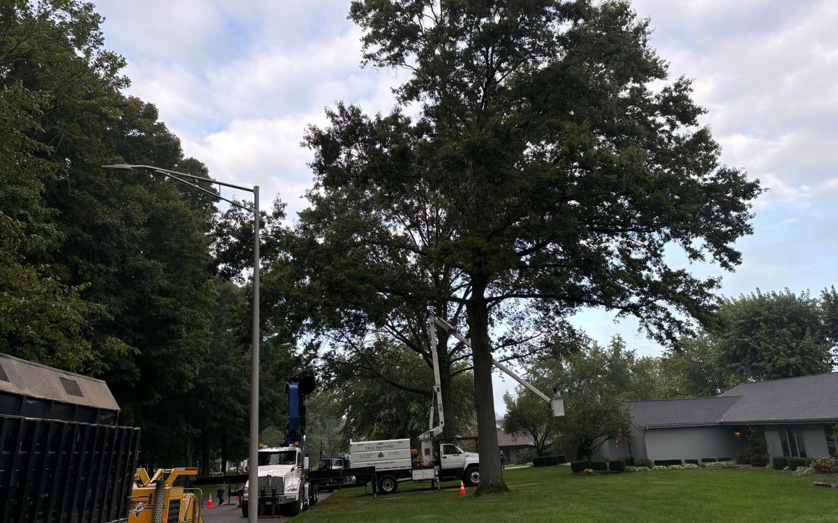 Tree Pros trucks and grapple equipment on a residential job