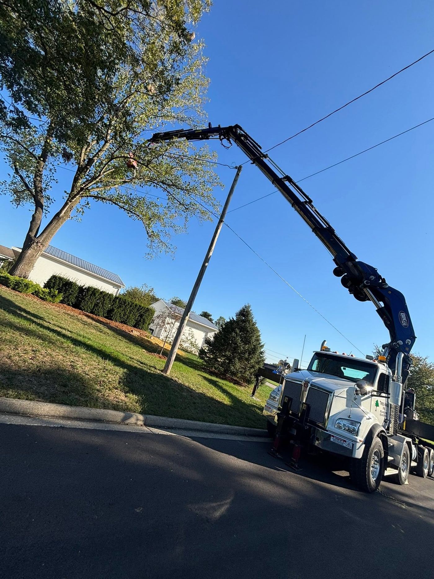 Grapple crane reaching over a road to remove a tree