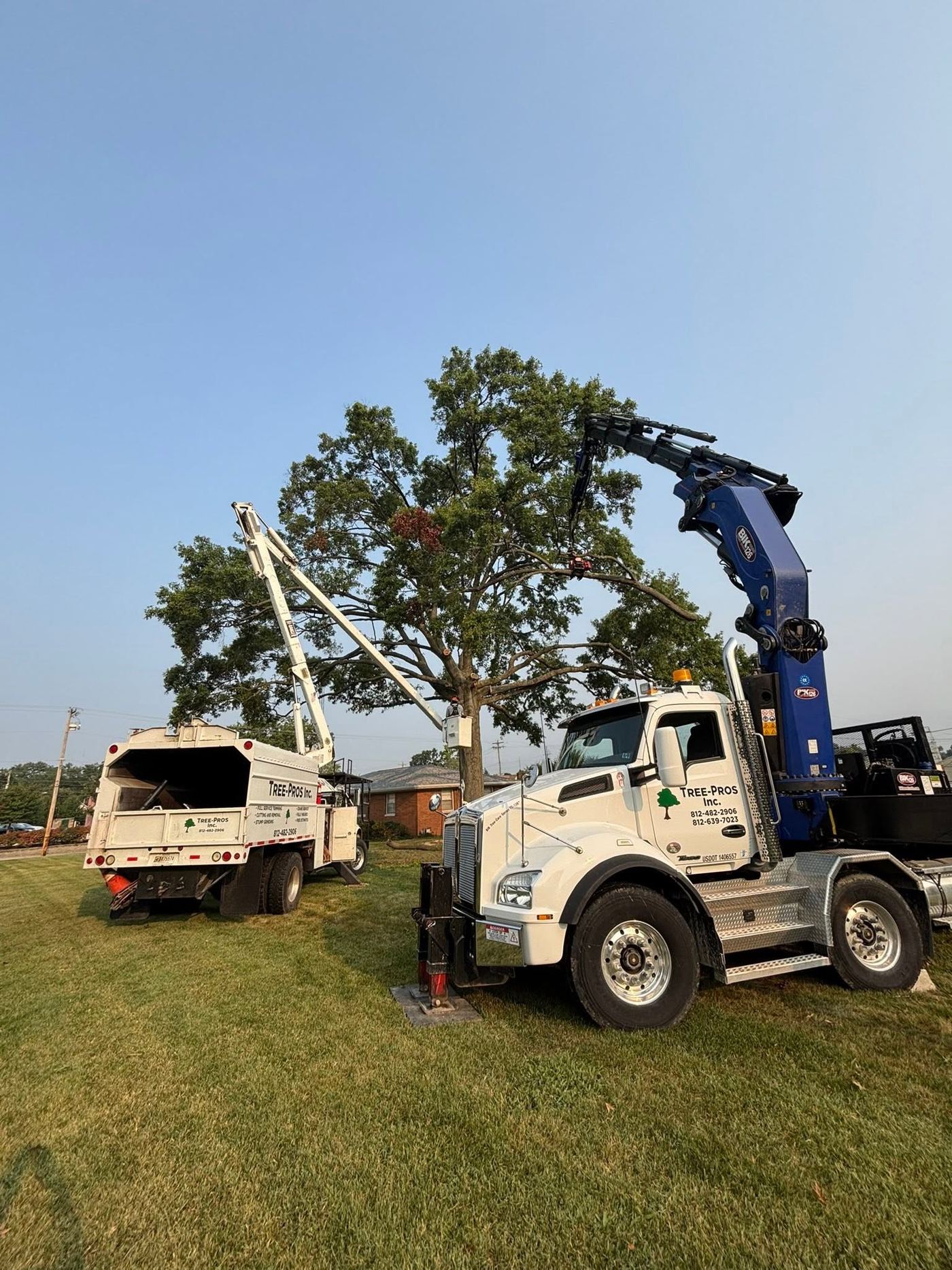 Grapple crane and chipper working on a tree at dusk