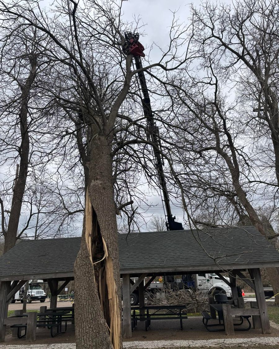 Climber roped in high above a picnic shelter