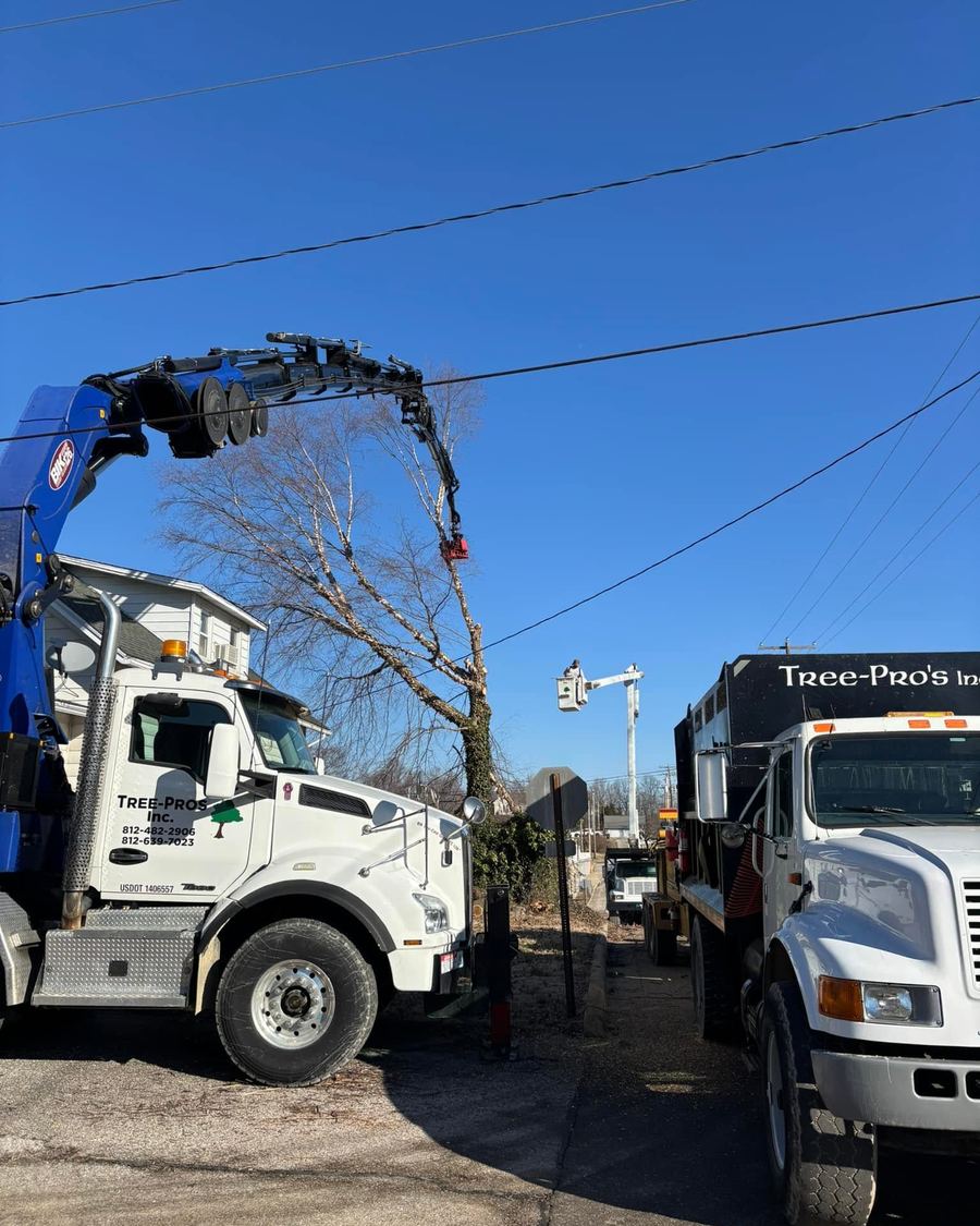Grapple crane truck working near overhead lines