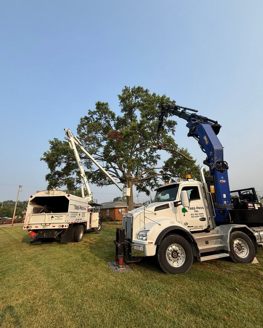 Tree Pros grapple truck and chipper working at dusk