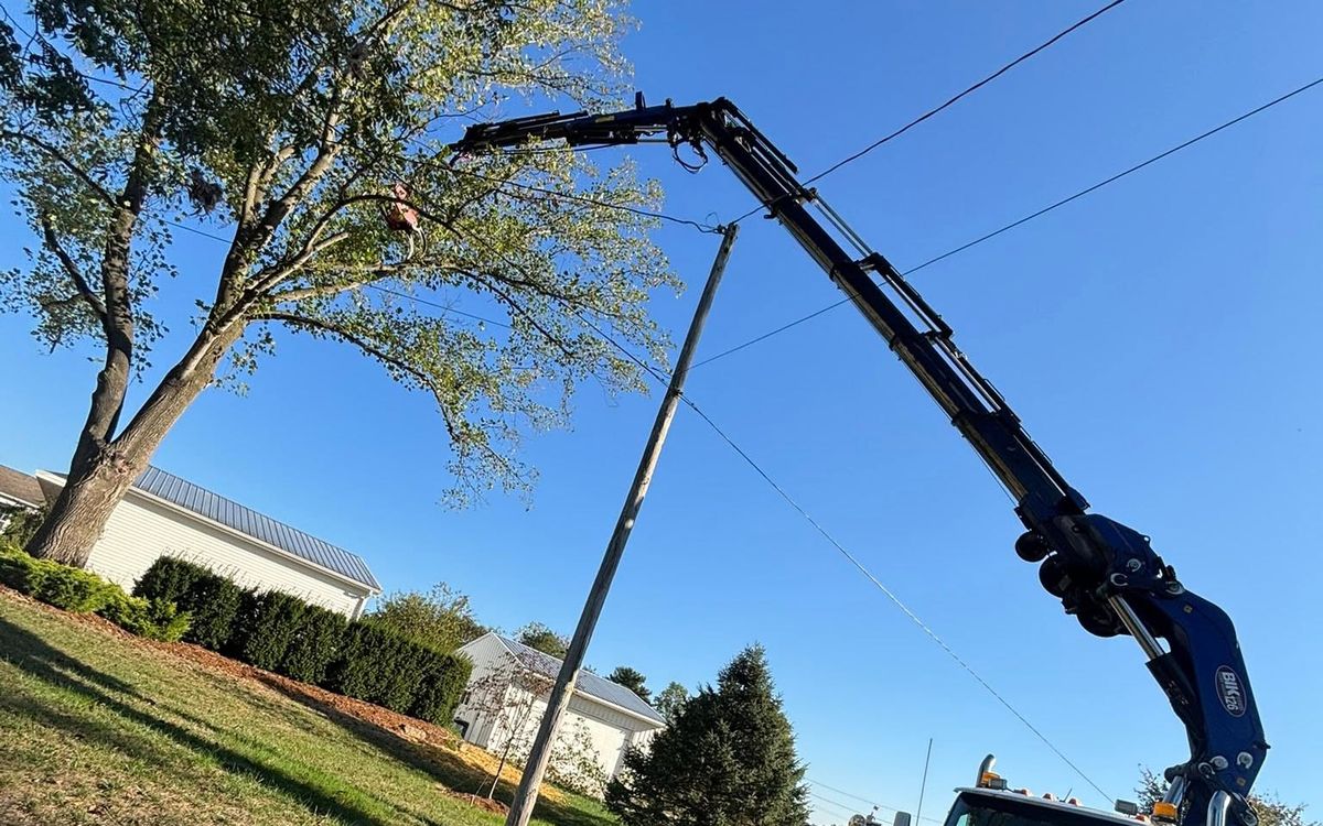 Grapple crane reaching over a road to remove a tree